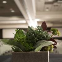 OMA 30th Anniversary Celebration